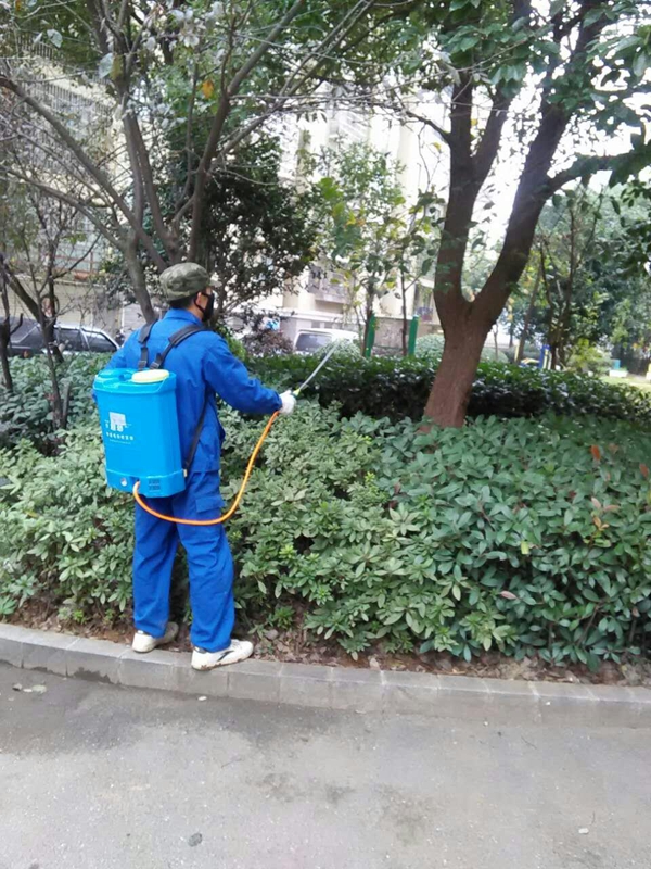 保洁绿化服务